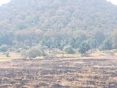 'Almanzingo o Cuautenampa' Carretera México-Cuautla S/N, Tlalmanalco, ولاية مكسيكو 56730, المكسيك