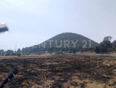 'Almanzingo o Cuautenampa' Carretera México-Cuautla S/N, Tlalmanalco, ولاية مكسيكو 56730, المكسيك