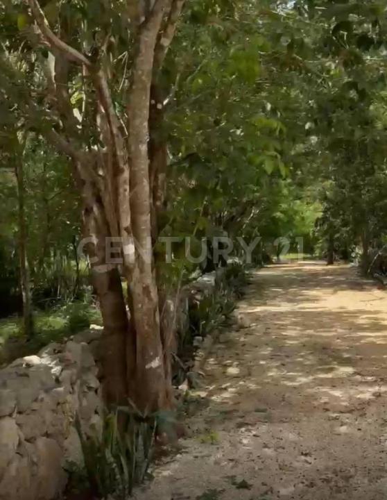 Predio Rústico Tablaje catastral no. 8740, Chemax, Yucatan 97770, Mexico