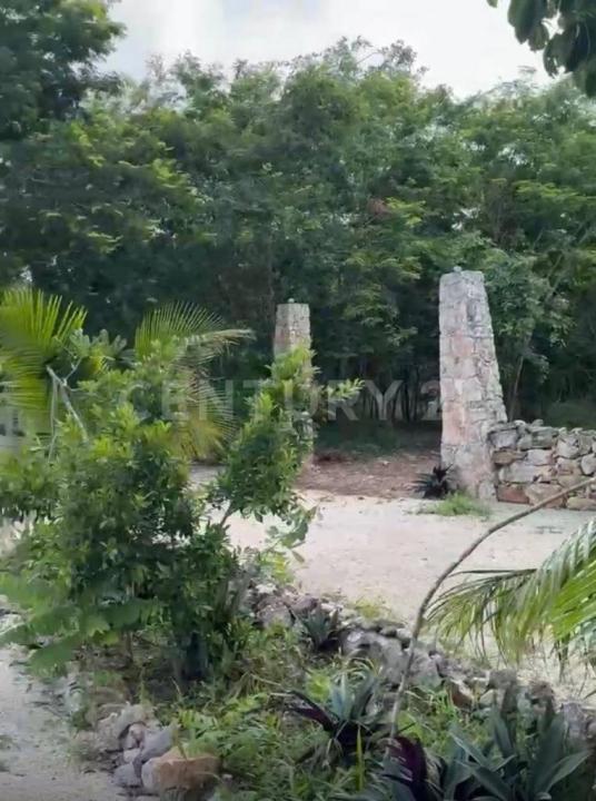 Predio Rústico Tablaje catastral no. 8740, Chemax, Yucatán 97770, Meksika