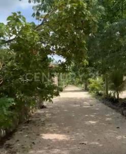 Predio Rústico Tablaje catastral no. 8740, Chemax, Yucatán 97770, Meksika