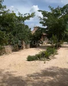 Predio Rústico Tablaje catastral no. 8740, Chemax, Yucatán 97770, Meksika