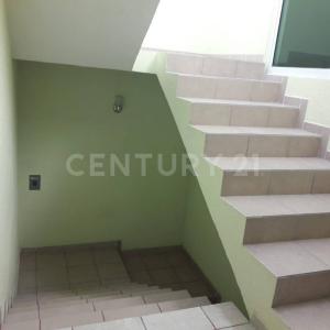 Papanoa 6 mz5 lt3, Ecatepec de Morelos, Estado De México 55430, Mexico