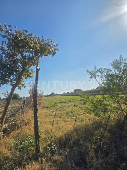 Parcela N 193 Z3 P1/2, San Martín Texmelucan, Puebla 74129, Mexico