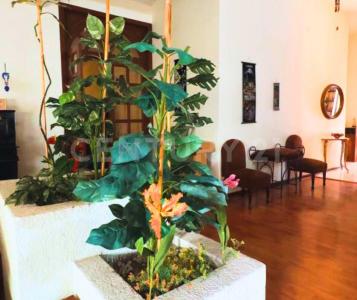 Melchor Ocampo 41, San Pedro Cholula, Puebla 72760, Mexico