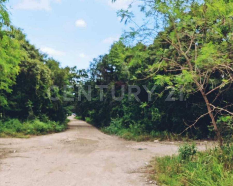 calle encino y jupiter manzana 108, Cancún/Benito Juárez, 킨 타나 77500, 멕시코