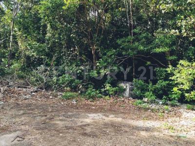 calle encino y jupiter manzana 108, Cancún/Benito Juárez, 킨 타나 77500, 멕시코