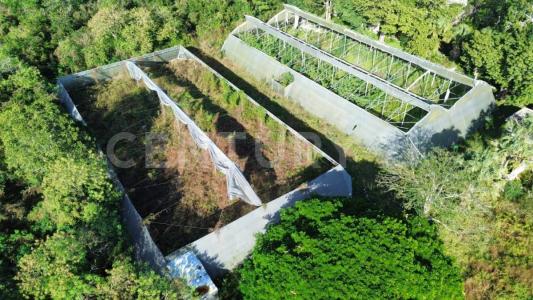 13 121, Conkal, Jukatan 97345, Meksyk