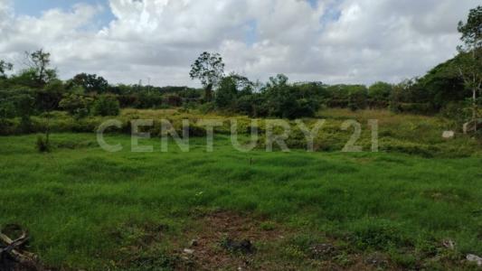 13 121, Conkal, Jukatan 97345, Meksyk