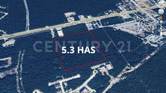 Tulum, Quintana Roo 77780, Mexico