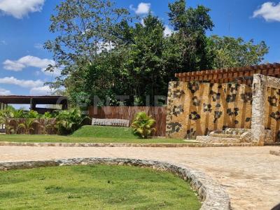 ZONA 2 , Lázaro Cárdenas, Quintana Roo 77511, México