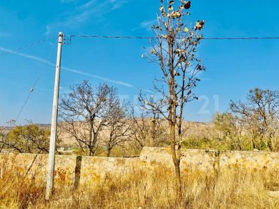 rubi s/n, Zapopan, Jalisco 45200, Messico