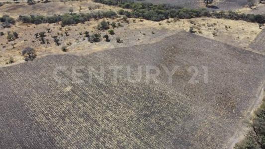 Lote 3 Manzana 78 zona 12, El Marqués, קרטרו 76259, מקסיקו 