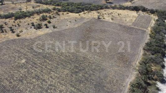 Lote 3 Manzana 78 zona 12, El Marqués, קרטרו 76259, מקסיקו 