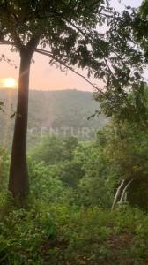 Arroyo 3 s/n, San Pedro Pochutla, Oaxaca 70904, Mexico