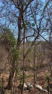 Calle 3 Lote 4, Huatulco, 瓦哈卡 70989, 墨西哥