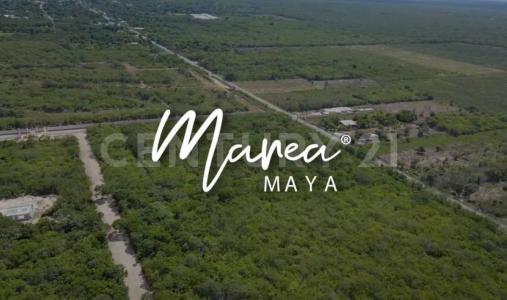 Tablaje 761, Telchac Pueblo, Yucatán 97403, Mexico