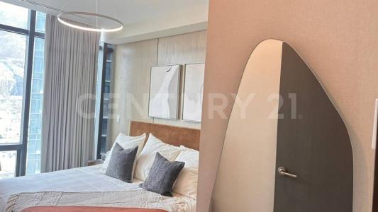 Monterrey, 新萊昂 64650, 墨西哥