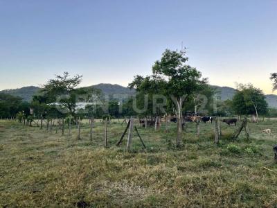 Pablo Rios 44, Cabo Corrientes, 哈利斯科 48400, 墨西哥