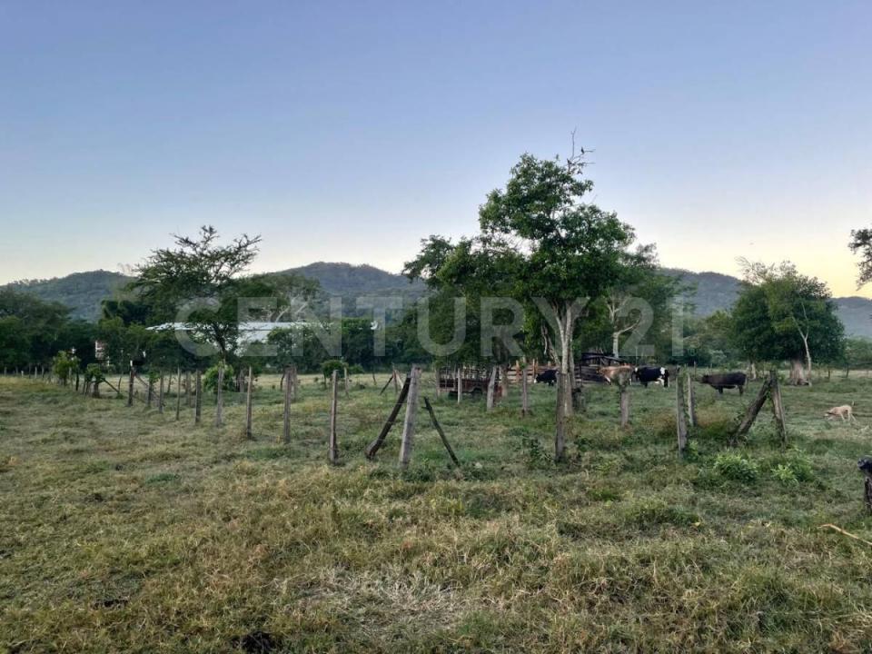 Pablo Rios 44, Cabo Corrientes, 哈利斯科 48400, 墨西哥