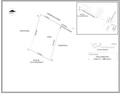 Rancho Santa Teresa SN, Tulum, Quintana Roo 77774, México