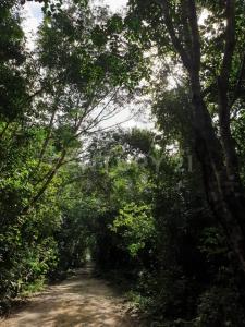 Rancho Santa Teresa SN, Tulum, Quintana Roo 77774, México