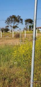 quina piedra lote 2 manzana 641, Playas De Rosarito, 바하칼리포르니아 22716, 멕시코