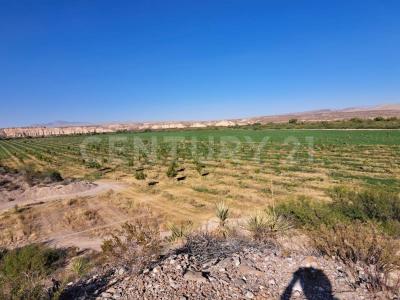 Chihuahua ojinaga 16, Coyame, Chihuahua 32850, México