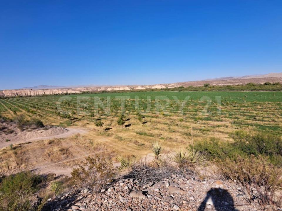 Chihuahua ojinaga 16, Coyame, 奇瓦瓦 32850, 墨西哥