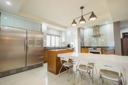 チワワ, チワワ 31215, メキシコ