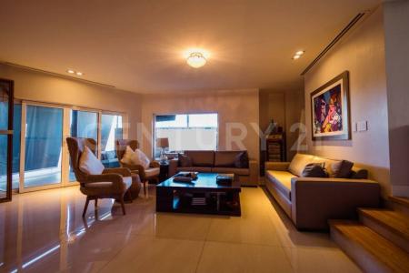 チワワ, チワワ 31215, メキシコ