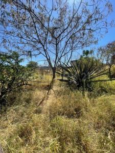 Ampliación Independencia S/N, Santa Cruz Xoxocotlan, Oaxaca 71230, Mexico