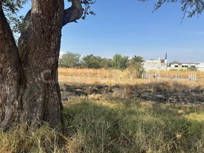 Xoxocotlán S/N, Santa Cruz Xoxocotlan, Oaxaca 71230, Mexique