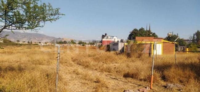 Tlacolula de Matamoros S/N, Tlacolula De Matamoros, 瓦哈卡 70400, 墨西哥