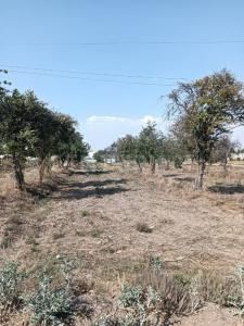 DOMINGO ARENAS 607, Tlaltenango, Puebla 72600, Mexico