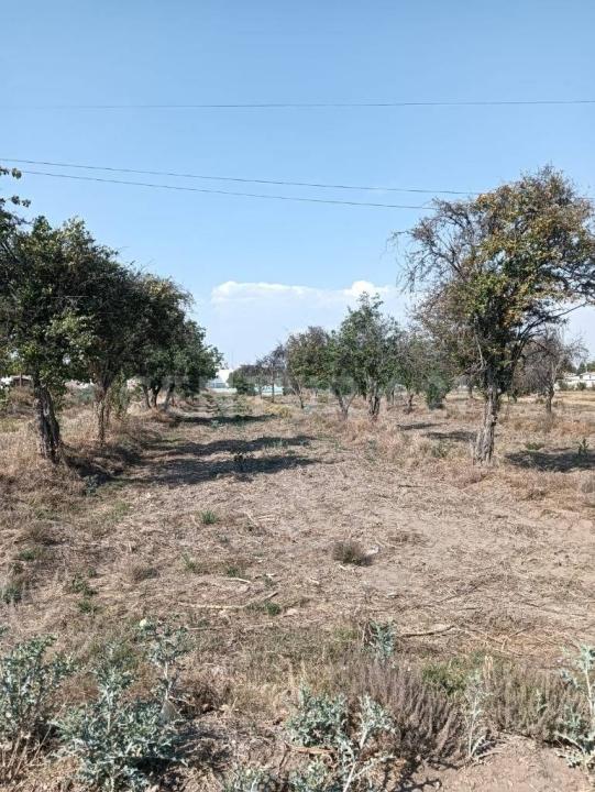 DOMINGO ARENAS 607, Tlaltenango, Puebla 72600, Mexico