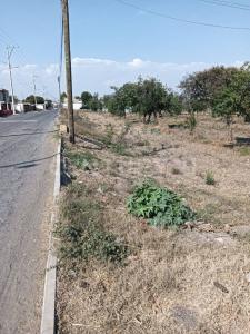 DOMINGO ARENAS 607, Tlaltenango, Puebla 72600, Mexico