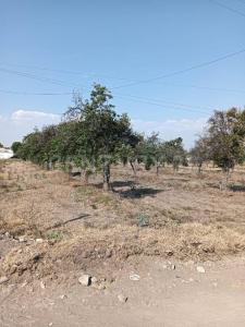 DOMINGO ARENAS 607, Tlaltenango, Puebla 72600, Mexico