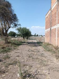 DOMINGO ARENAS 607, Tlaltenango, Puebla 72600, Mexico