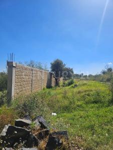 CARLOS B ZETINA 3601, Huejotzingo, Puebla 74160, Mexico