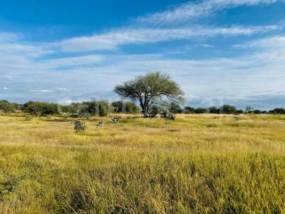 Banda Oaxaca y Rancho nuevo 157 Z-Z P1/2, San Miguel De Allende, Guanajuato 37896, Mexico