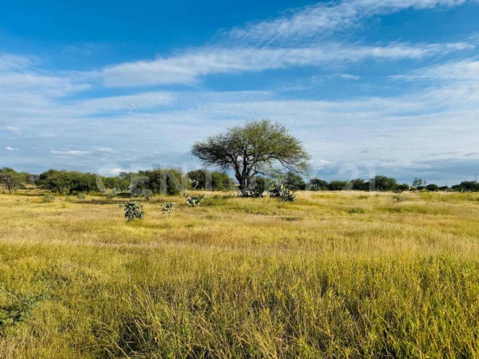 Banda Oaxaca y Rancho nuevo 157 Z-Z P1/2, San Miguel De Allende, Guanajuato 37896, México