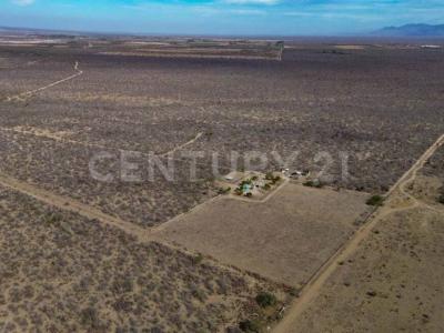 La Paz, 바하 캘리포니아 수르 23250, 멕시코