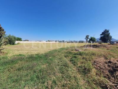 Calle Camino a Nexatengo, San Agustin Ixtlahuixtla, Municipio de Atlixco, Puebla , Atlixco, Puebla 74360, Meksyk