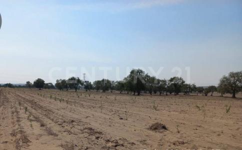 Parcela 327, Z-5, P1/3 0, Huamantla, Tlaxcala 90515, Mexico