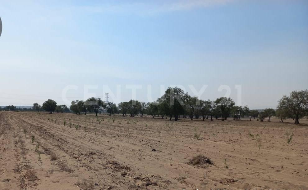 Parcela 327, Z-5, P1/3 0, Huamantla, Tlaxcala 90515, Messico