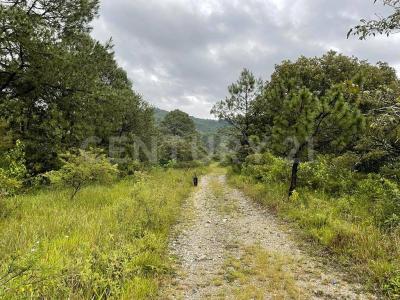 Gigantes 1, Valle De Bravo, Estado De México 51200, Mexico