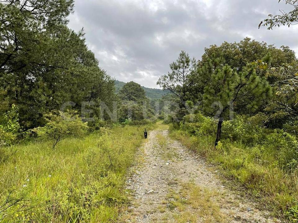 Gigantes 1, Valle De Bravo, Штат Мехико 51200, Мексика