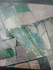 Pesqueria, Nuevo León 66679, Mexico