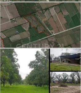 Pesqueria, Nuevo León 66679, Mexico